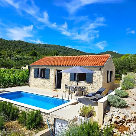 Villa Stone House In Vineyard Račišće Exterior foto
