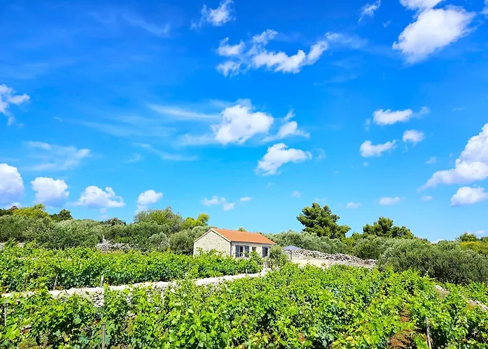 Stone House In Vineyard