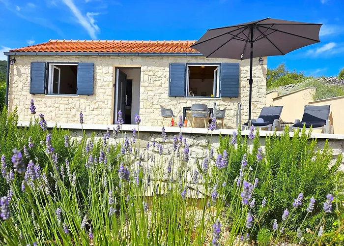 Stone House In Vineyard