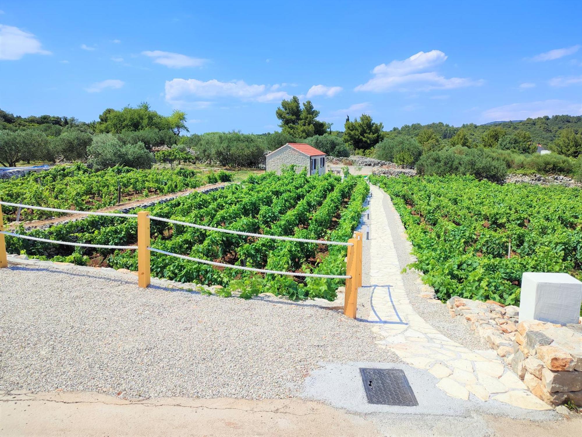 Ferienhaus Stone House In Vineyard Račišće