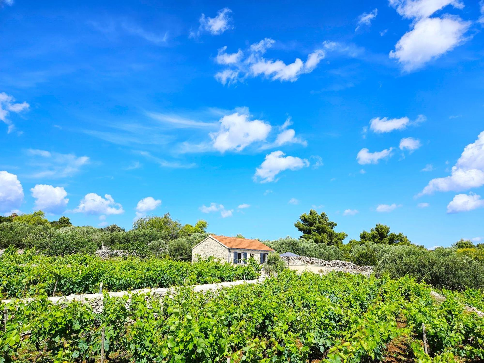 Stone House In Vineyard Ferienhaus Račišće