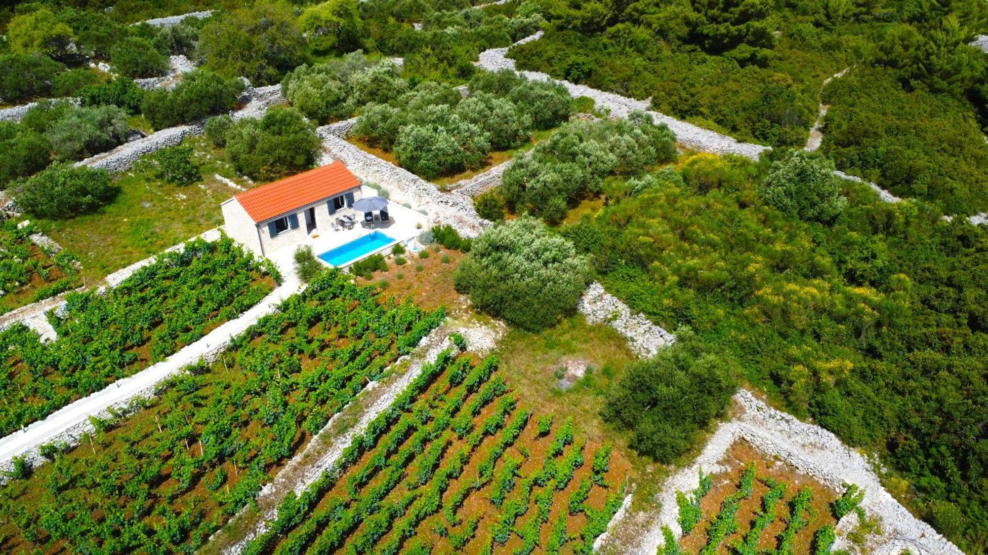 Stone House In Vineyard Ferienhaus