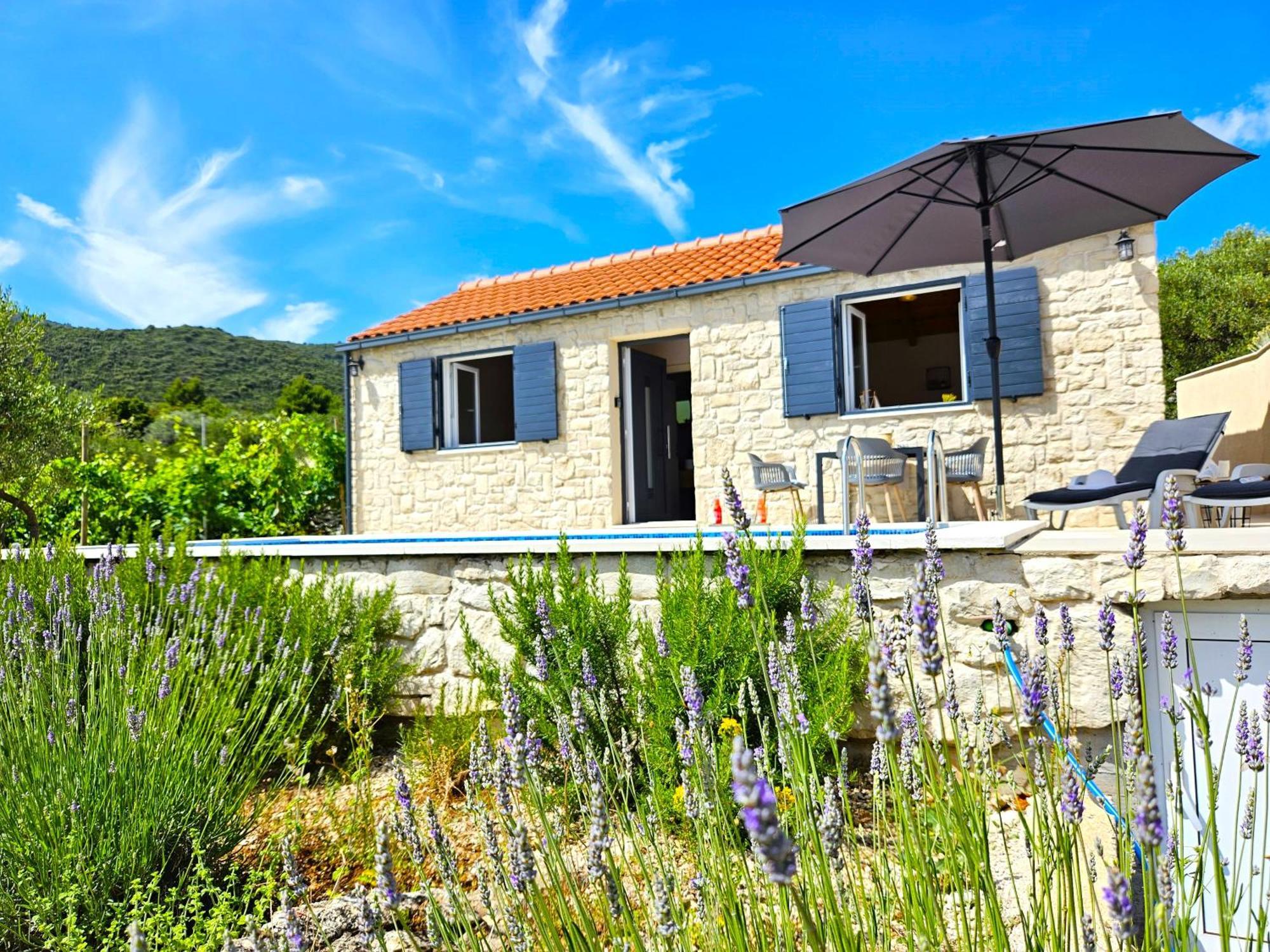 Stone House In Vineyard *